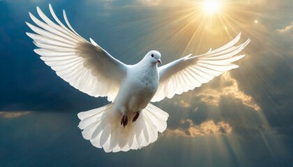 Majestic White Dove, a Symbol of Peace and the Holy Spirit	 - obrazy, fototapety, plakaty