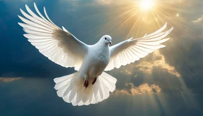 Zelfklevend Fotobehang Majestic White Dove, a Symbol of Peace and the Holy Spirit  © Daniel