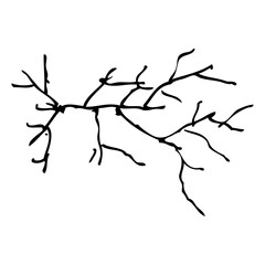 crack, simple vector hand draw sketch doodle, isolated on white