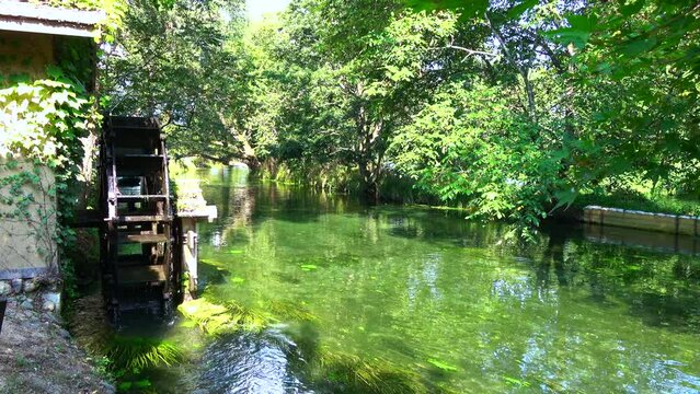 長野県安曇野のワサビ田へと流れる清流の風景  4K