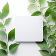 Fototapeta na wymiar mockup on white background of a white plastic card including small green leaf generative AI.