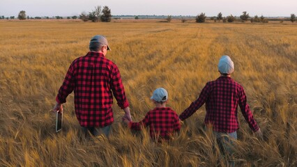 Cute little son of farmers joins hands with parents walking across wheat field. Farmer father...