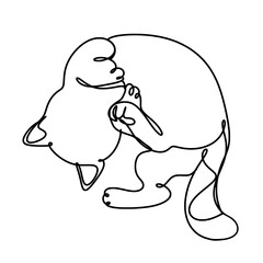 Cats lying on its back in one line art drawing 