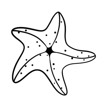 recommend clip art: Star fish hand drawn