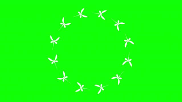 Circling dragonflies animation on green screen background