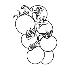 Cherry tomatoes branch one line art