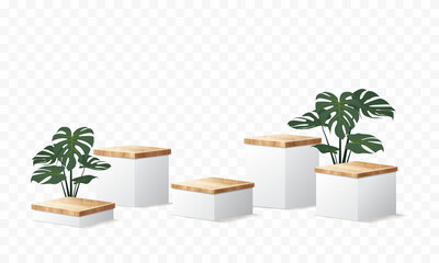3D Vector wood podium presentation mock up, show cosmetic product display stage pedestal background design