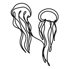 Jellyfish line art 