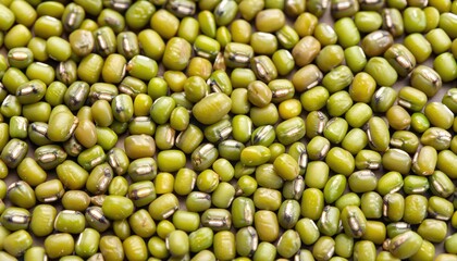 Fresh mung bean grams close-up view
