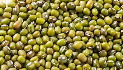 Fresh mung bean grams close-up view