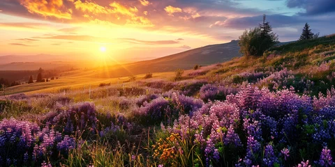 Fotobehang Captivating panoramic sunset over a field of purple wildflowers and grass, with the golden sun casting a vibrant glow on the picturesque landscape © Bartek