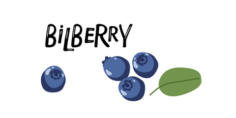 Bilberry with inscription hand drawn isolated. Flat vector Food template for nursery design, sticker, logo, diet concept, farmers market. Sketch Logo illustration of healthy berry. Blueberry with leaf
