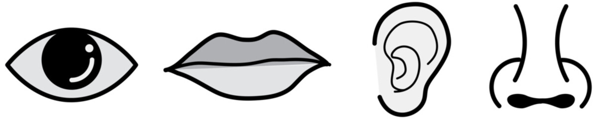 Line drawings of eyes, ears, nose and mouth