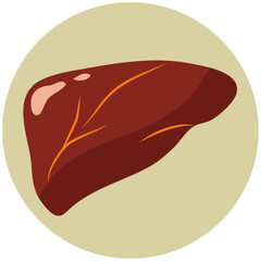 Human liver icon. Medical business concept template. Illustration design of human body organs ,flat design