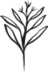 Botanical floral leaf doodle hand drawing art, vector design, no background