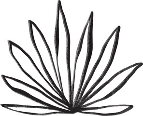 Fototapeta na wymiar Botanical leaf ornamental plant doodle hand drawing art, vector design, no background 