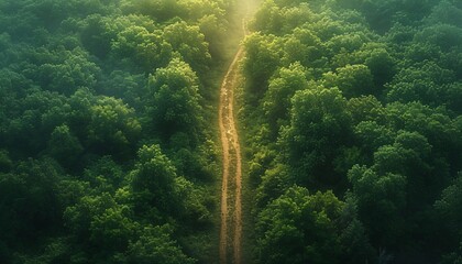 A Path Through the Forest: A Glimpse of Nature's Beauty Generative AI