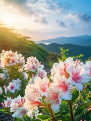 Fototapeta na wymiar azalea flowers in full bloom all over the hillside under the blue sky