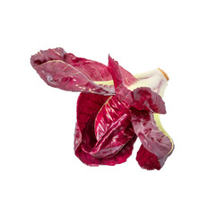 Obraz premium Variegated radicchio from Verona