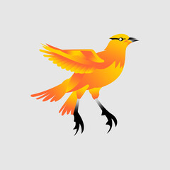 Bird logo design vector template