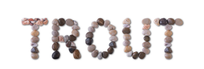 The word "TROUT" is lined with shells and stones of different shapes and colors on a transparent background. Types of fish and seafood, price tag, sea food, fish market, sea alphabet.