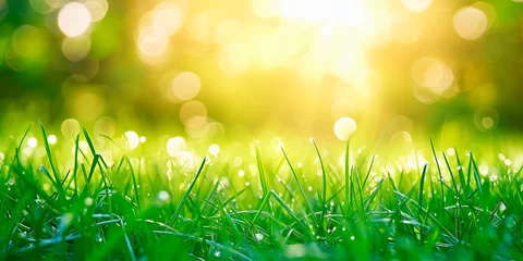 Gardinen Green grass texture and sunlight banner background © KEA
