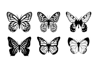 set farfalle