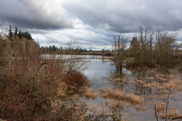 Obraz premium Oregon landscape during flood