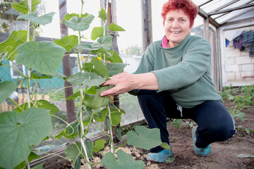 Adult woman with short red hair smiles while squatting in greenhouse with cucumbers