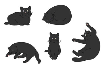 色々なポーズの猫たち（黒猫）