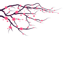 vector cherry blossom background in hand drawn style