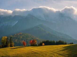 Beautiful autumn landscape in the mountains. Clouds illuminated by the morning sun floating low...