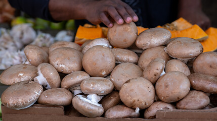 Fresh portobello champignons mushrooms sold at the city farmers market