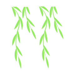 Vector bamboo leaves illustration. illustration with isolated object