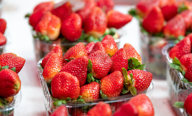 fresh strawberries in plastic boxes at the city market