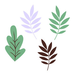 vector flat design green leaves on white background