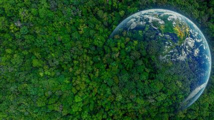 Aerial top view of green forest tree and global globe, Tropical rain forest tree ecosystem and healthy environment, Texture and background of green tree forest, Global warming save earth. - obrazy, fototapety, plakaty
