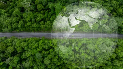 Poster Aerial top view of green electric vehicle car driving over straight forest road, EV car electric vihicle car on forest road with globe green energy and eco power produced from sustainable. © Kalyakan