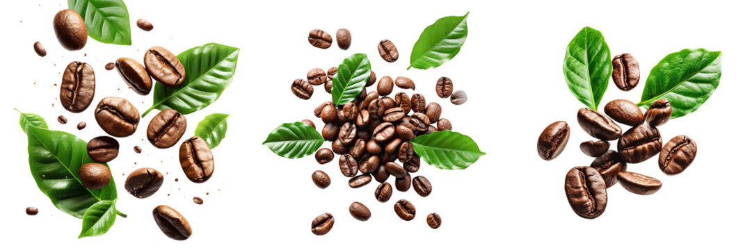 Floating Coffee Beans and Leaves Set Isolated on Transparent or White Background, PNG
