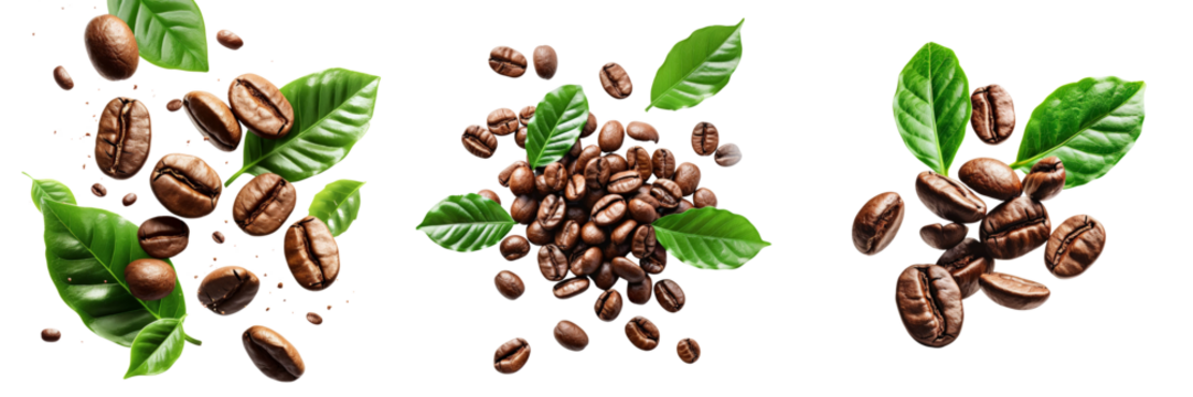 Floating Coffee Beans and Leaves Set Isolated on Transparent or White Background, PNG