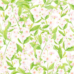 Watercolor spring seamless pattern. Blossoming twigs of an apple tree on a white background.