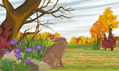 A large brown hare sits under a tree in an autumn meadow. Animals of Europe in autumn. Realistic vector landscape