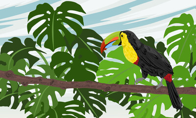Keel-billed toucan walks along a tropical tree branch. Fauna of moist equatorial forests. Realistic vector landscape.