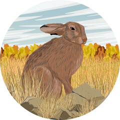 Round composition. A brown hare sits in the tall dry grass. Animals of Europe in autumn. Realistic vector landscape