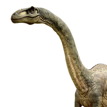 ブラキオサウルスのイメージ - image of Brachiosaurus - No3-10 Generative AI