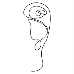 One Line Rose Flower Minimalism Drawing Vector Illustration Floral Art Design 
