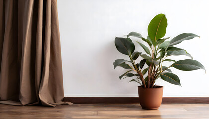 Plant against a white wall mockup. White wall mockup with brown curtain, plant and wood floo. Generative AI.