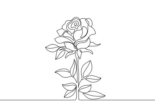 Rose. Flower. One line