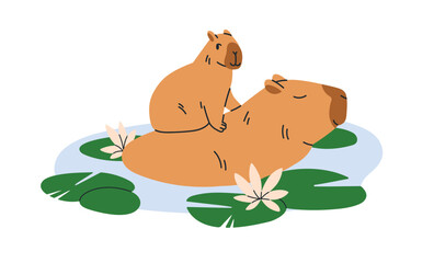 Cute capybara family. Funny mother and baby cub capibaras. Happy capy animal characters, mom and kid, bathing, swimming, relaxing in water. Flat vector illustration isolated on white background