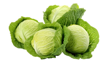 Crisp Cabbage on Transparent Background